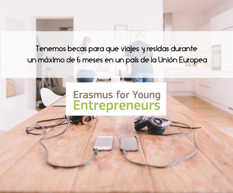 Becas del programa Erasmus para Jóvenes Emprendedores.