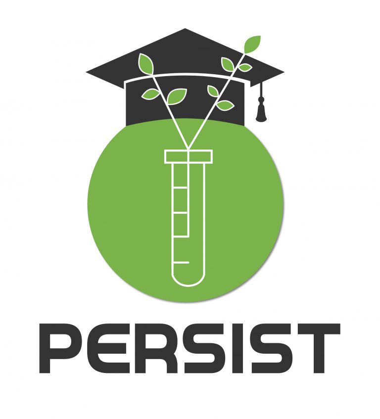 PERSIST