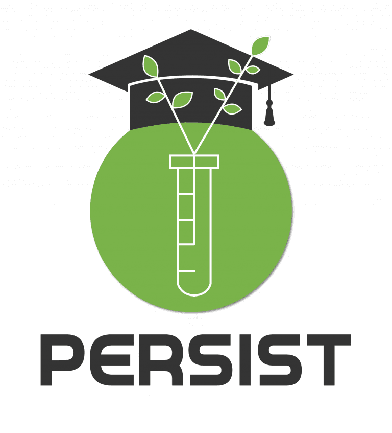 Persist